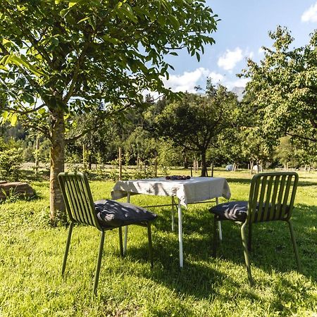 Appartement Iselhof à Lienz Extérieur photo